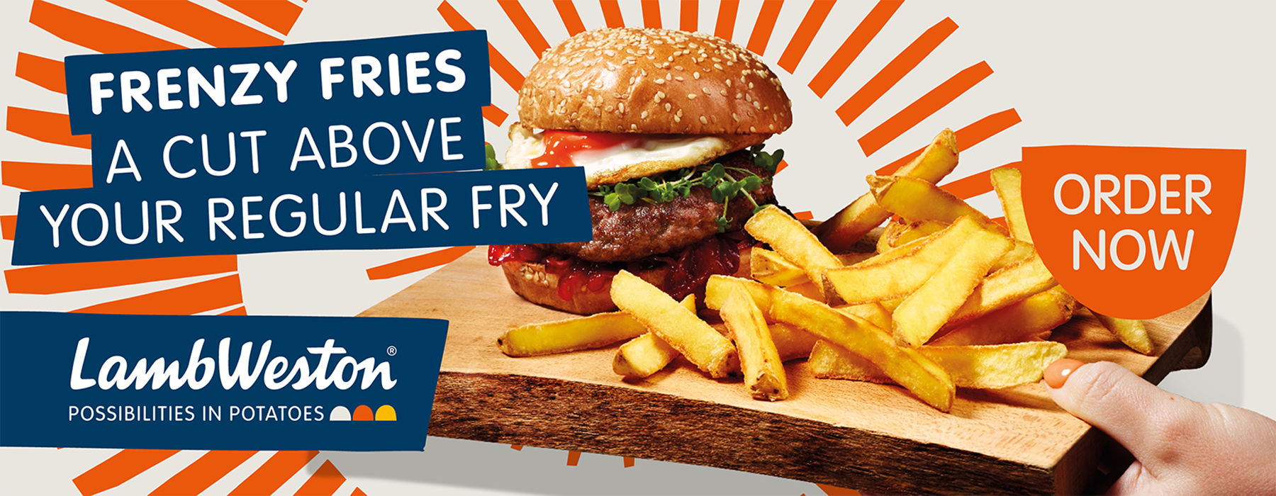 Frenzy Fries