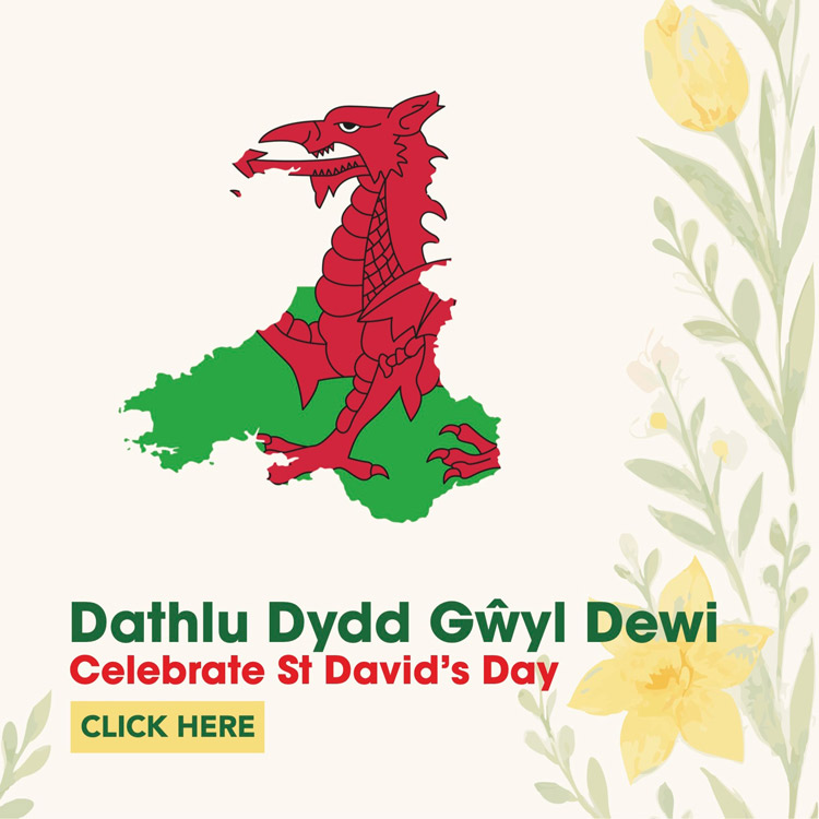 St Davids Day